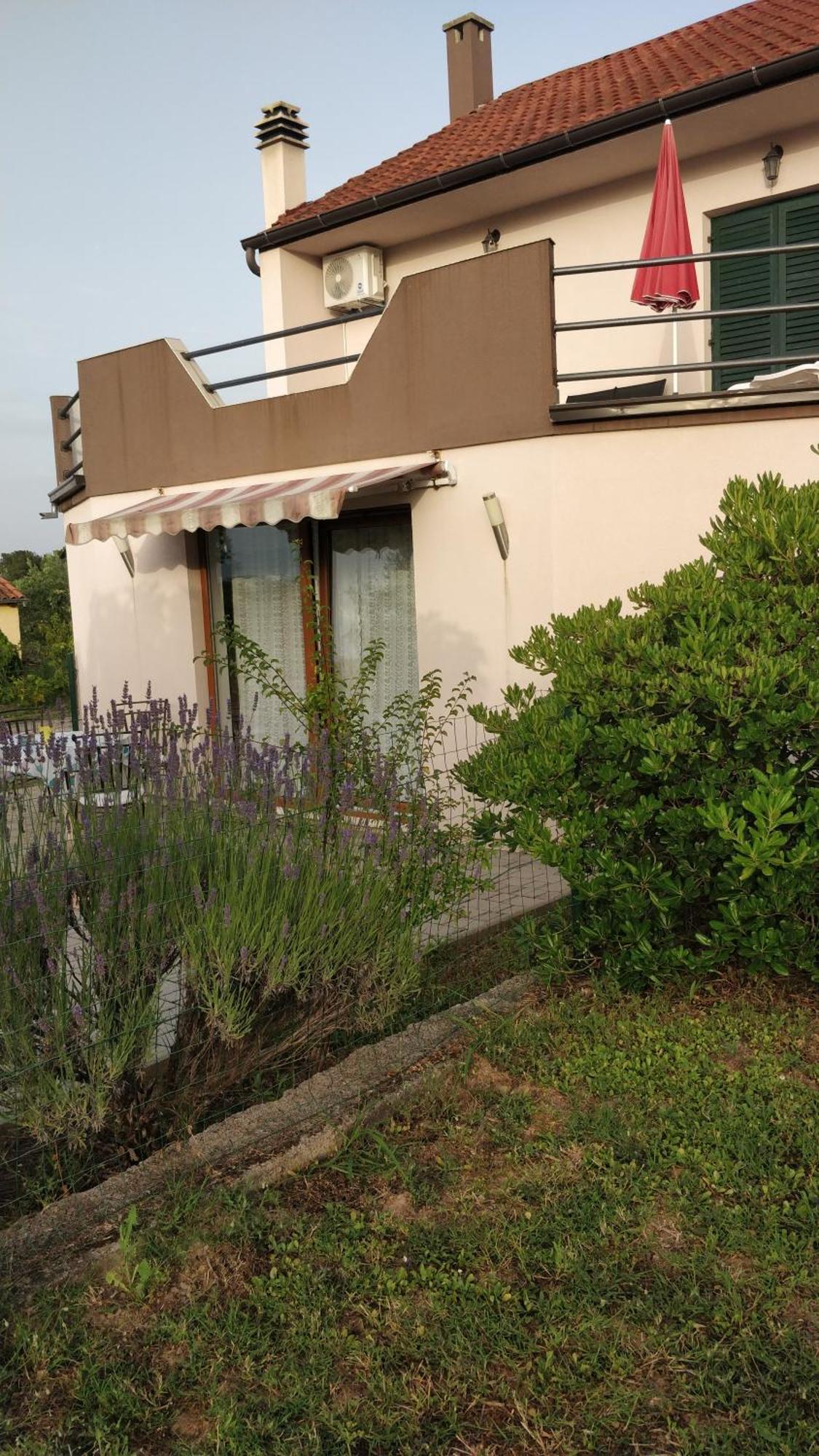 Apartment Lavinia Zadar Ngoại thất bức ảnh